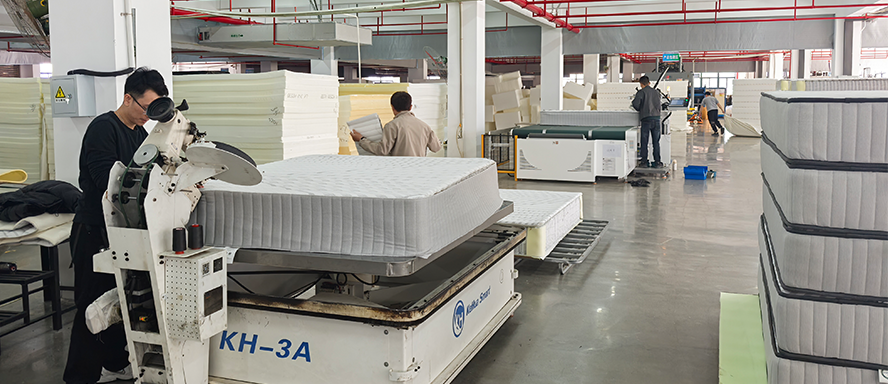 Why Choose MX Dream?