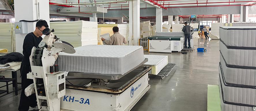 Why Choose MX Dream?